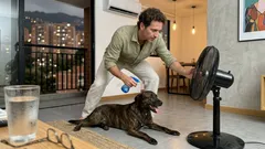 ¿Un ventilador cerca de la cama de tu perro realmente lo enfría? El ajuste simple que cambia todo en días pesados