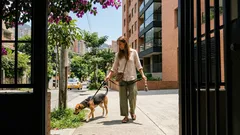 ¿Tu perro solo obedece si hay comida? El cambio que lo vuelve más constante