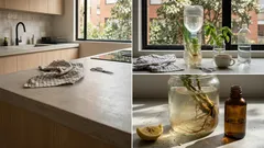 Huerto en botella en la ventana: rebrotes en agua que sí funcionan (sin malos olores)
