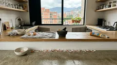 Lagartijas en casa: por qué aparecen y el truco de la cáscara de huevo para que no regresen