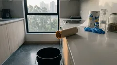 Ratas en casa: el truco del tubo de papel higiénico para atraparlas sin veneno (y qué hacer después)