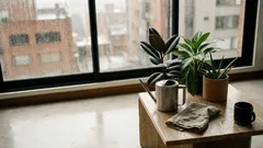 El truco verde para que tu casa se sienta más fresca: 5 plantas de interior fáciles