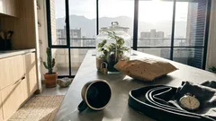 Mamba negra: impone respeto en minutos… y no todo lo que se dice es cierto